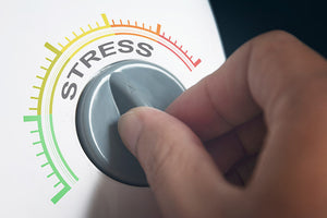 Chronically Stressed? Cortisol Can Damage almost Every Organ in Your Body