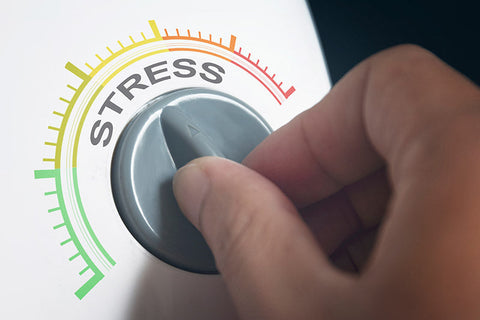 Are you Chronically Stressed? Cortisol Can Damage almost Every Organ in Your Body