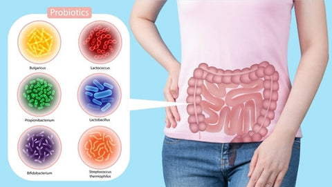 Top 7 Reasons to Increase your food based Probiotic Intake: good microbes are the key to health