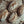 Einkorn Sourdough Bread - Discounted Pack of 4 - Ancient Grain Superfood Bread