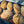 Baked kamut bread loaves on a baking tray with a blue textured background