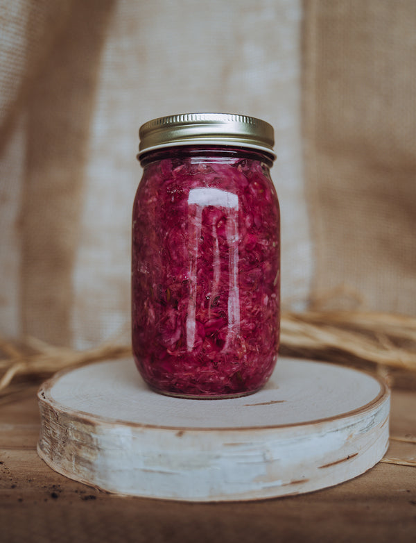 Purple Sauerkraut- Rich in Probiotics