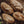 Assortment of Kamut & Einkorn Sourdough Breads- Pack of 4
