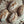 Einkorn Sourdough Bread - Pack of 4 - Ancient Grain Superfood Bread