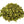 Cistus Herbal Tea - Super Potent Antioxidant